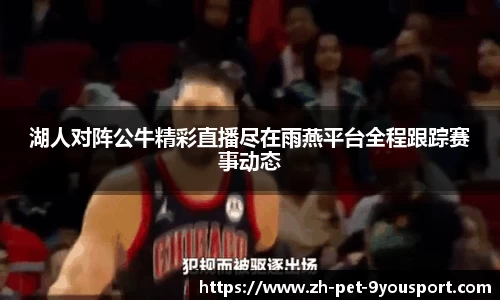 湖人对阵公牛精彩直播尽在雨燕平台全程跟踪赛事动态