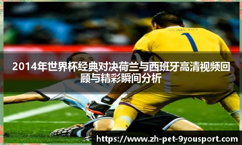 2014年世界杯经典对决荷兰与西班牙高清视频回顾与精彩瞬间分析
