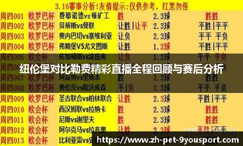 纽伦堡对比勒费精彩直播全程回顾与赛后分析