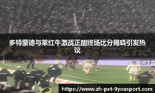 多特蒙德与莱红牛激战正酣终场比分揭晓引发热议