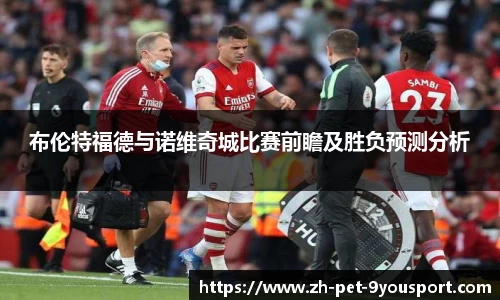 布伦特福德与诺维奇城比赛前瞻及胜负预测分析